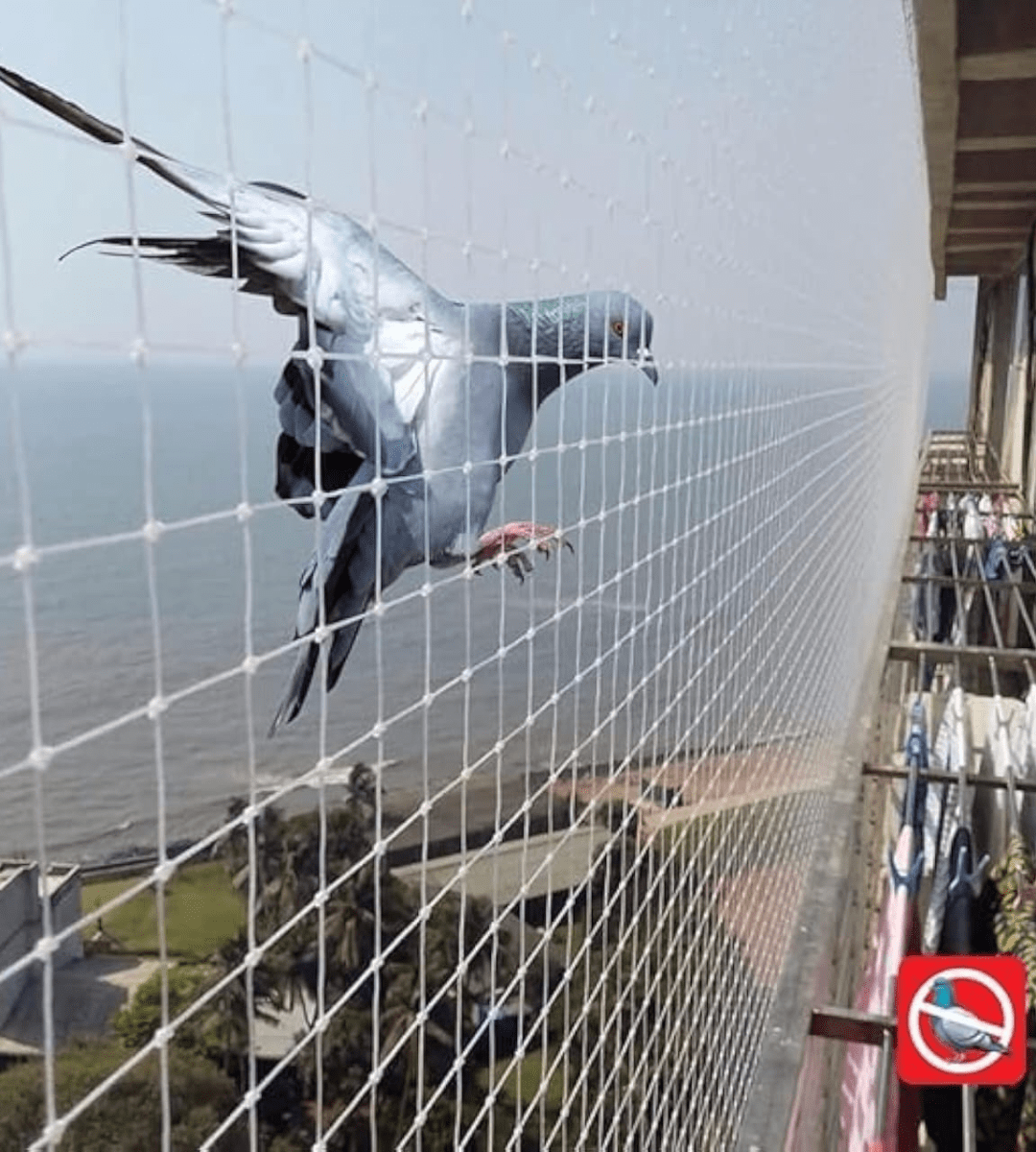 nylon bird net